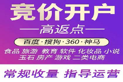 某行业头部企业信息流广告推广全解析